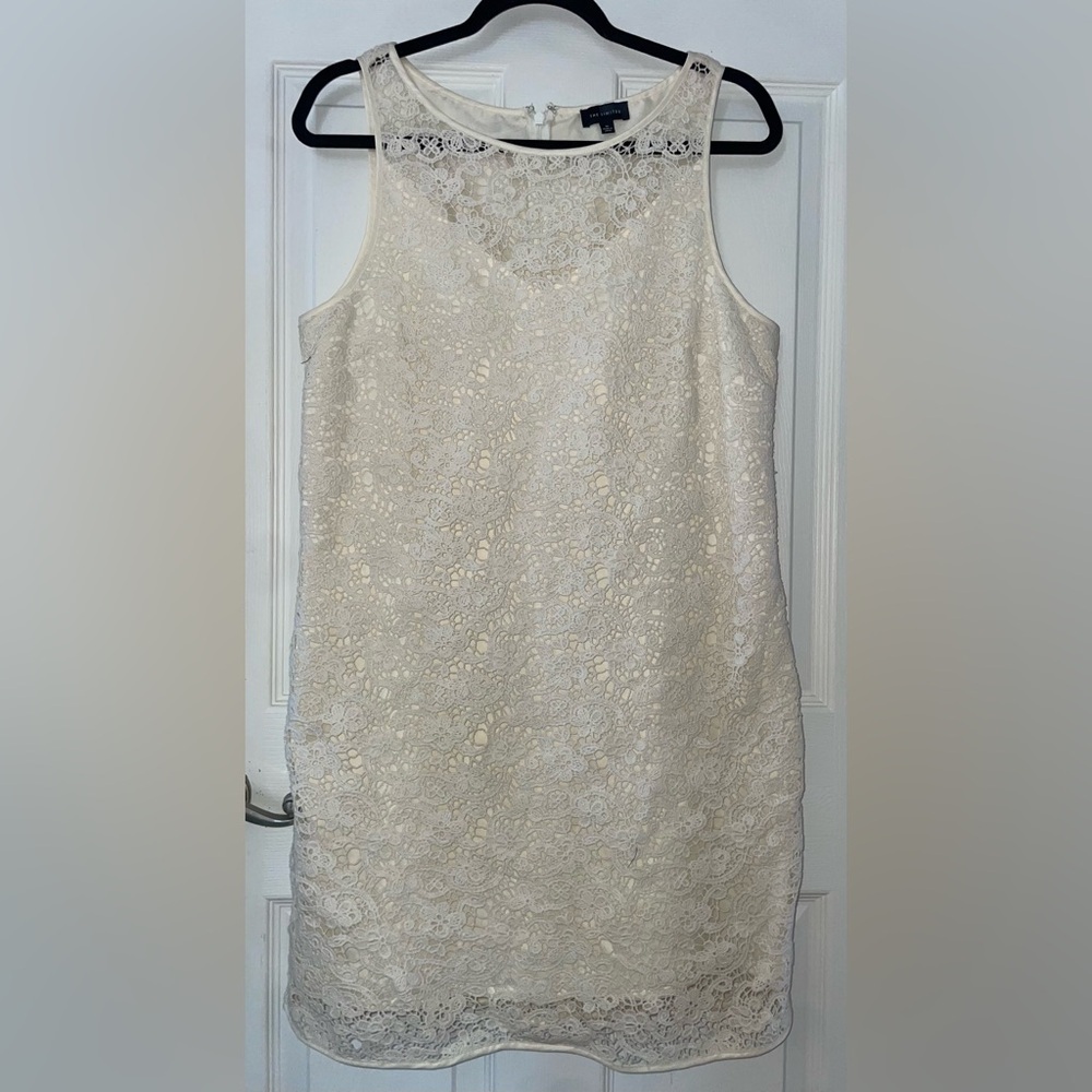 The Limited Ivory Lace Sleeveless Shift Dress
